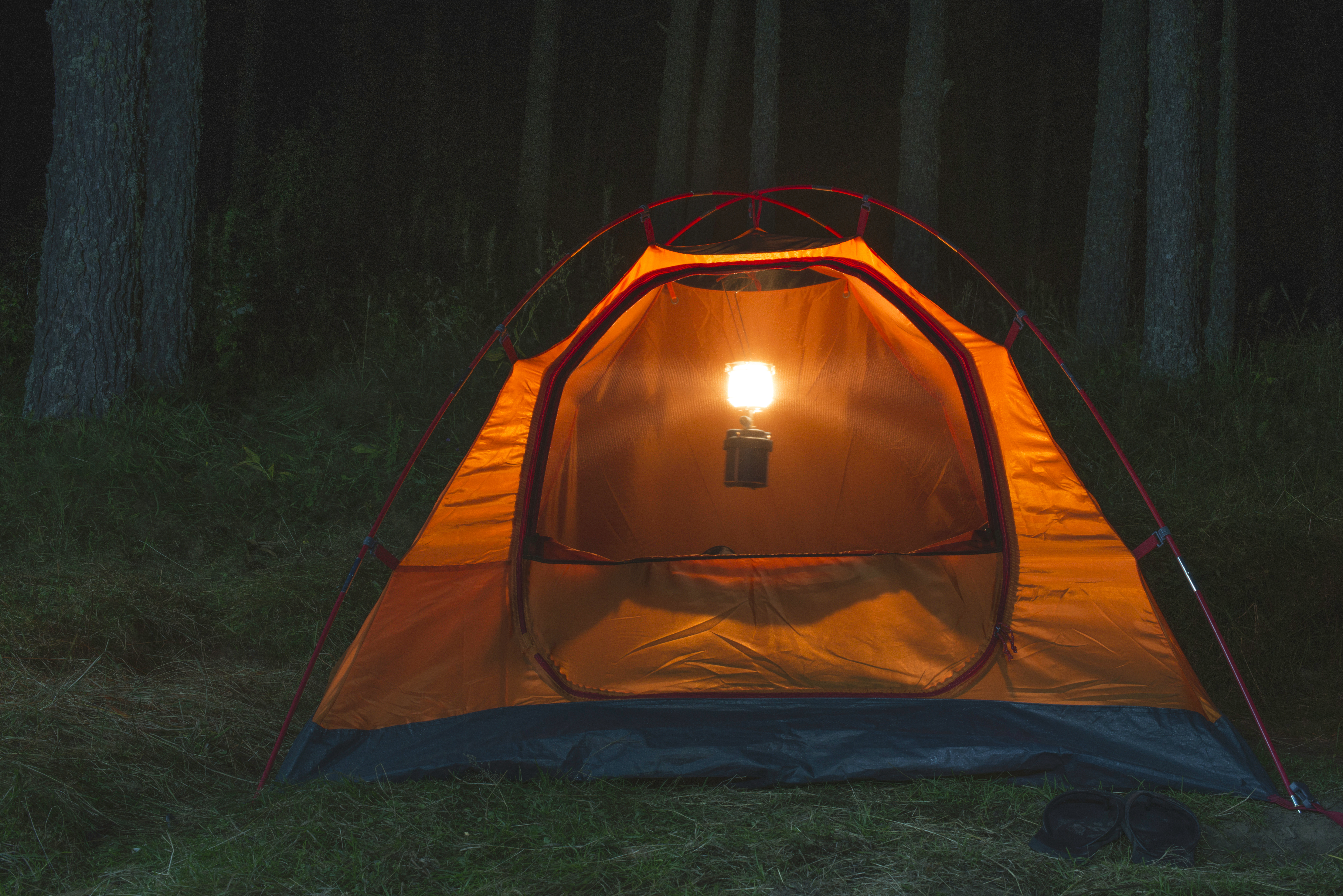 Tent in the forest at night